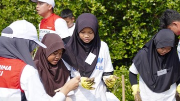 Tumbuhkan Cinta Lingkungan, Pertamina dan Siswa SD Tanam 20.000 Mangrove