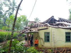 Pohon Tumbang Timpa Rumah di Ciamis, Satu Orang Terluka