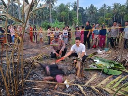 Heboh Jasad Nenek Ditemukan Tewas Terbakar di Kebun Paluta