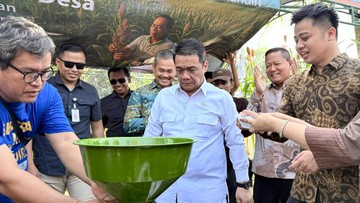 Bank Mandiri okrepila gospodarstvo vasi z gojenjem sirka v Bogorju