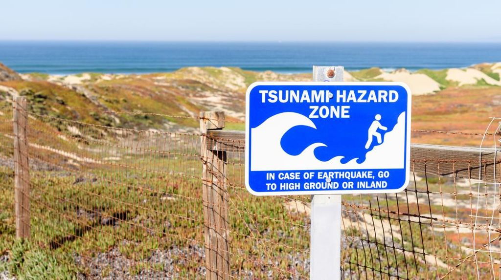 Daftar Daerah yang Diterjang Tsunami, Ketinggian Capai 0,7 Meter