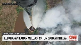 VIDEO: Kebakaran Lahan Meluas, 13 Ton Garam Ditebar