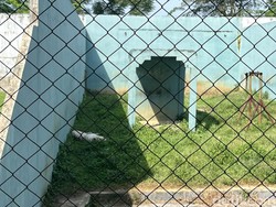 Viral Kandang Medan Zoo Diduga Kotor Tak Terawat, Begini Kondisi Terkini
