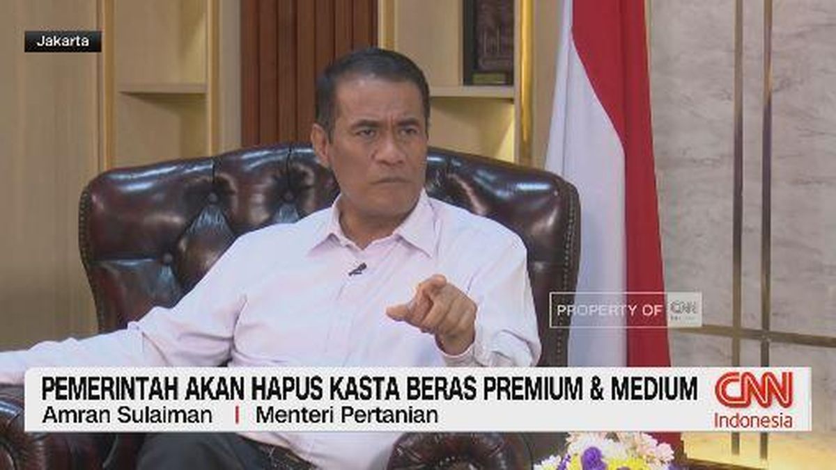 VIDEO: Pemerintah Akan Hapus Kasta Beras Premium dan Medium