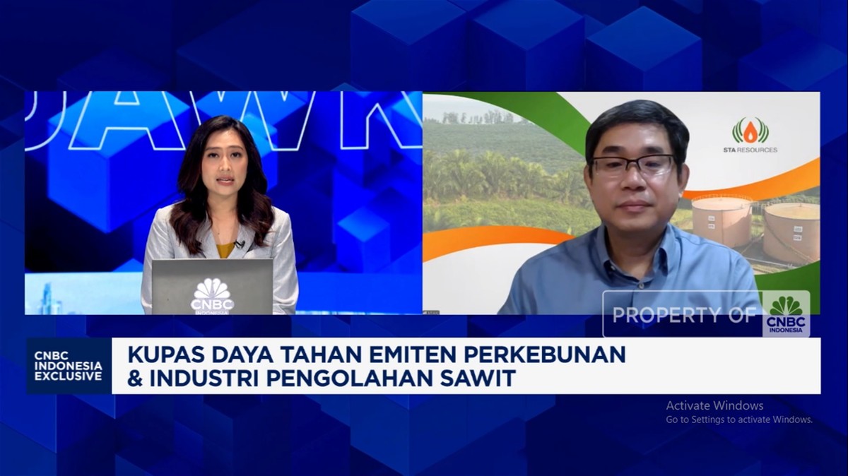 Video: Teknik Pemupukan Khusus, Jurus Pengusaha Sawit Genjot Produksi