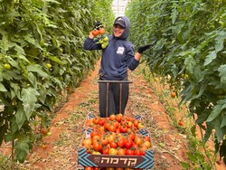 Cerita Mahasiswa NTT Magang di Israel, Belajar Irigasi IoT  di Tengah Perang