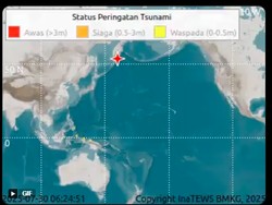 Tsunami Dampak Gempa Rusia Terdeteksi di Indonesia: 19 Cm di Sarmi Papua