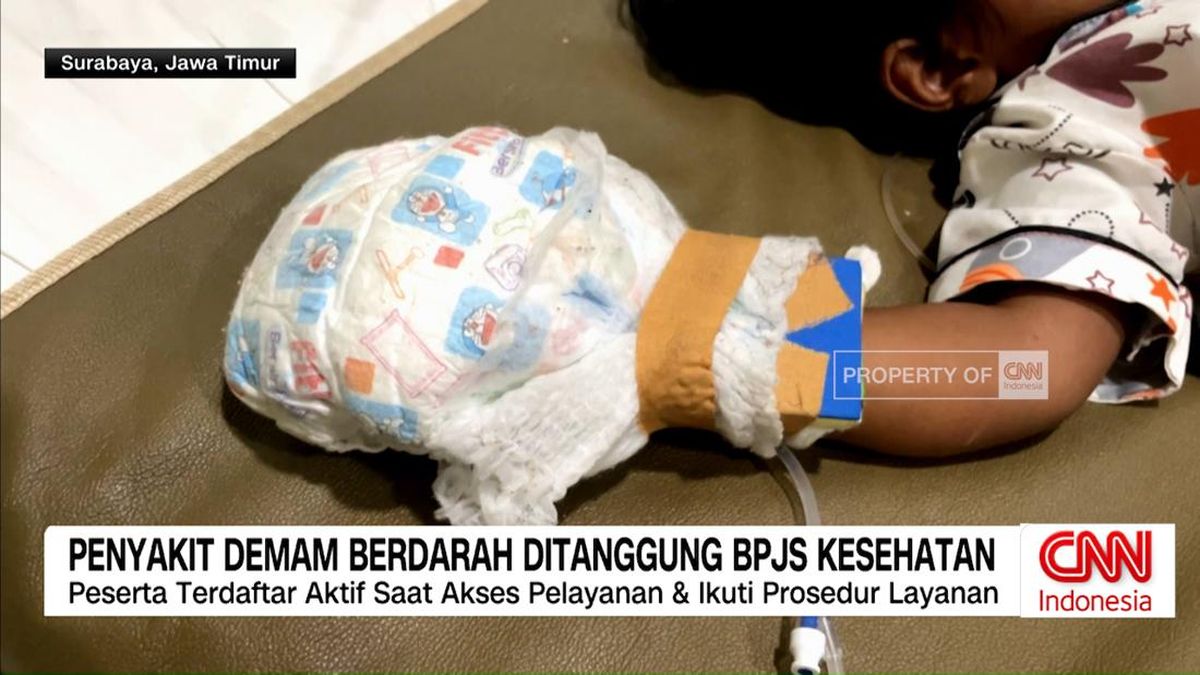 VIDEO: Penyakit Demam Berdarah Tercakup BPJS Kesehatan