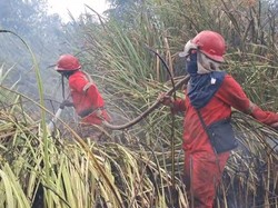 Karhutla Terjadi di Dua Desa Ogan Ilir, Lahannya Semi Gambut
