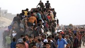Israel Tembaki Warga Gaza Antre Bantuan, 30 Tewas 300 Orang Terluka