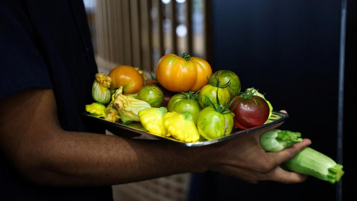 5 Makanan yang Baik untuk Kesehatan Tulang dan Sendi