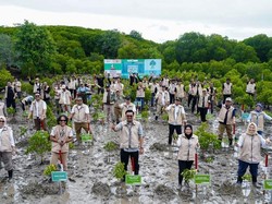 Kemenhut Perkuat Konsolidasi Nasional Rehabilitasi Ekosistem Mangrove