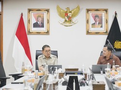 Menbud Terima Audiensi Bupati Pulang Pisau, Bahas Pelestarian Budaya
