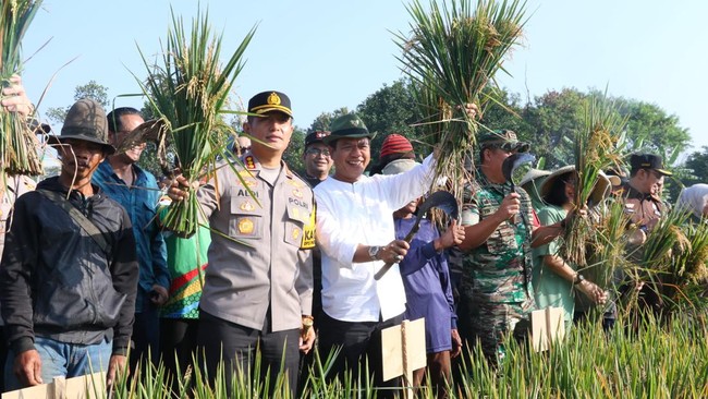 Bagi Kang DS, capaian yang melampaui target tanam sebesar 2.573 hektare adalah simbol ketekunan petani, komitmen pemda, dan kekuatan kolaborasi lintas sektor.