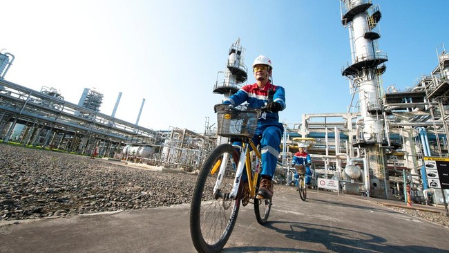 Pertamina membentuk Direktorat Transformasi & Keberlanjutan Bisnis guna menyelaraskan strategi bisnis dengan target dekarbonisasi dan pembangunan rendah karbon.