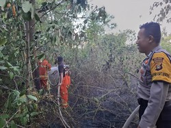 Karhutla Meningkat 2 Pekan Terakhir, Lubuklinggau Tetapkan Status Siaga