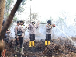 Hotspot di Riau Muncul di 4 Titik, Seluruhnya Tertangani dengan Cepat