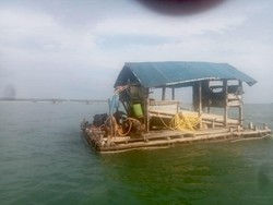Tambang Timah Ilegal di Bangka Barat Telan Korban Jiwa, Pemilik Jadi Tersangka
