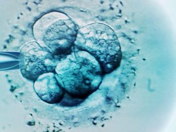 Rekor Dunia! Bayi Lahir dari Embrio yang Dibekukan 31 Tahun
