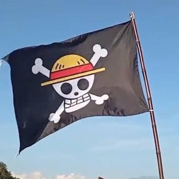 Media Asing Ikut Soroti Pengibaran Bendera One Piece Jelang 17 Agustus, Katanya...