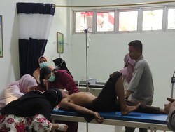 Penyemprot Gulma Akasia di Pelalawan Diterkam Harimau, Kepala-Leher Robek