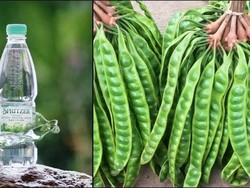 Merek Air Mineral Malaysia Dikomplain gegara Aromanya Mirip Petai