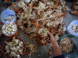 KKP Terbitkan Panduan buat Ekspor Rajungan ke AS