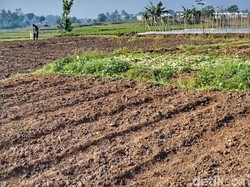 Kala 8,6 Hektare Lahan Tidur Kembali Produktif di Bandung