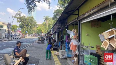 Bank Dunia Soroti Anak Muda RI Banyak Kerja di Sektor Informal