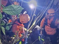 Tim SAR Evakuasi 24 Mahasiswa KKN Unand-Perangkat Nagari yang Tersesat, 3 Cedera