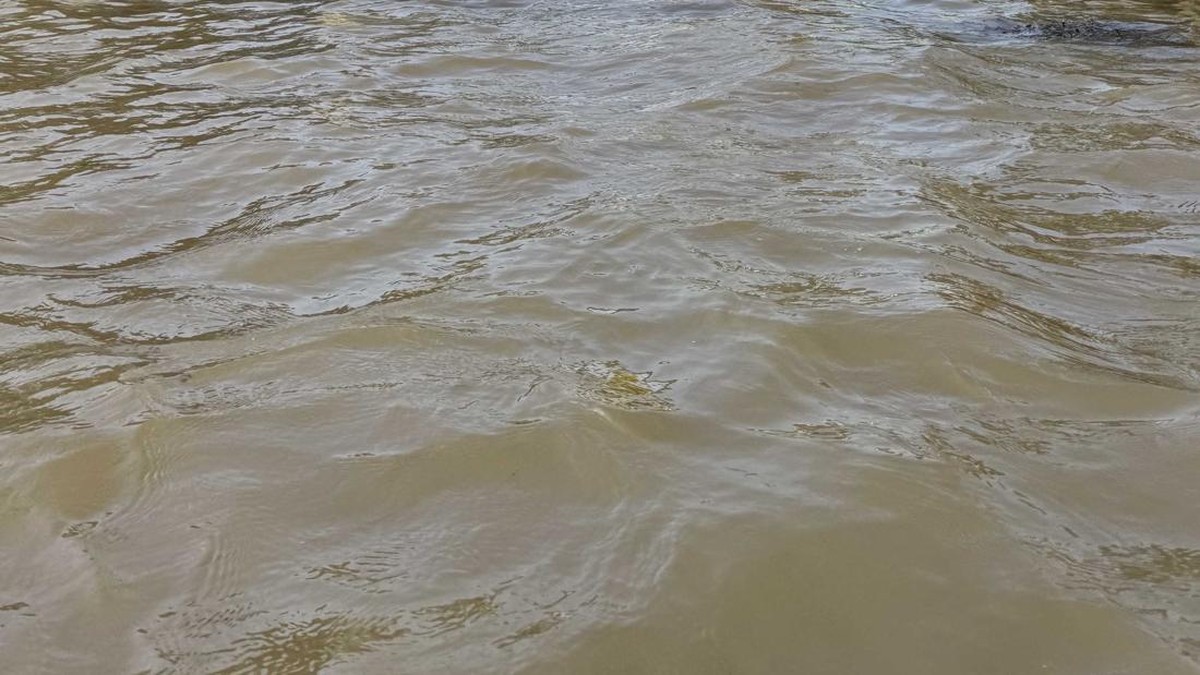 Banjir Sungai Kuning Guncang China, Tekanan Ekonomi dan Angka Korbannya yang Dipertanyakan