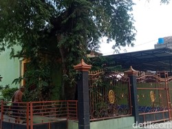 Misteri Watu Toleh dan Pohon Asam Raksasa di Masjid Tua Jrebeng Klaten