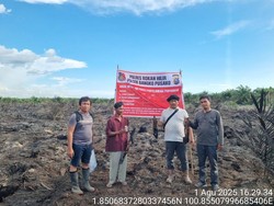 Lahan di Rohil Terbakar gegara Puntung Rokok, Poniran Ditangkap Polisi