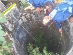 Kucing Hilang di Kuningan Ditemukan Dalam Sumur, Selamat Berkat Damkar