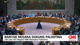 VIDEO: Banyak Negara Dukung Palestina