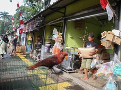 Video: Alasan Pedagang Pasar Barito Masih Bertahan Jelang Relokasi