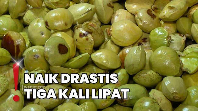 Harga Tembus Rp120 Ribu Per Kilo, Jengkol Jadi Langka di Pasar