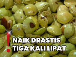 Harga Tembus Rp120 Ribu Per Kilo, Jengkol Jadi Langka di Pasar