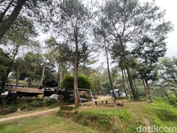 Tak Perlu Mahal, Rp 50 Ribu Bisa Puas Menikmati Bumi Perkemahan Ipukan