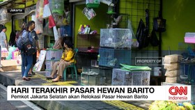 VIDEO: Hari Terakhir Pasar Hewan Barito