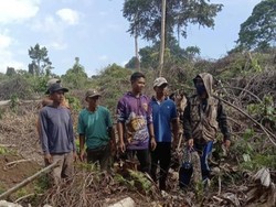 Hutan Lereng Gunung Tambora Dibabat, Sumber Air-Kebun Kopi Warga Hilang