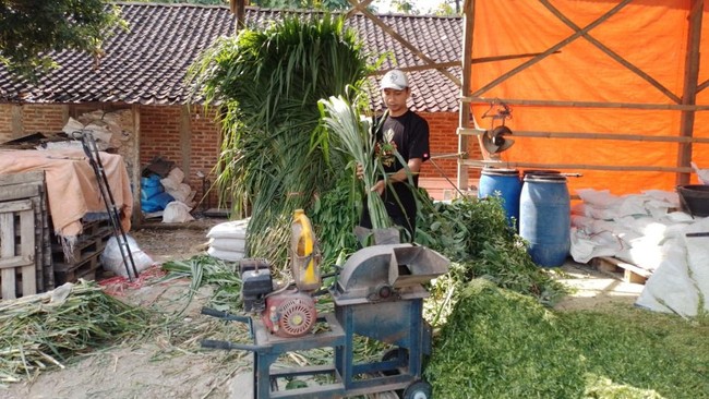 Tommy Wavolta sukses berkat KUR BRI, mengembangkan usaha pakan ternak Dara Farm, Dari keterbatasan modal, kini jadi pengusaha ternak terkemuka di Ponorogo.