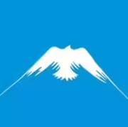 Tes Kepribadian: Gambar Elang atau Burung yang Pertama Kali Terlihat? Ini Artinya!