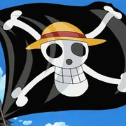 Simpang Siur Respon Pemerintah Terhadap Bendera Jolly Roger One Piece