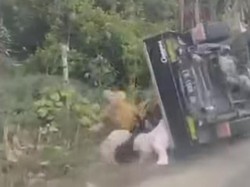 Momen Pikap Rombongan Emak-emak Terbalik di Gowa gegara Sopir Ugal-ugalan