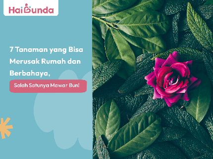 7 Tanaman yang Bisa Merusak Rumah dan Berbahaya, Salah Satunya Mawar Bun!