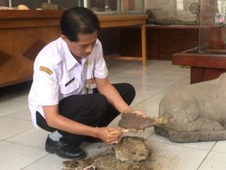 Tak Cuma Tanduk, Fragmen Tengkorak Kerbau Purba Juga Ditemukan di Blora