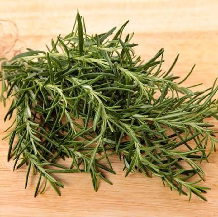 Rosemary ternyata tidak hanya bermanfaat untuk memasak, namun juga bisa mengusir lalat hingga nyamuk. Hal tersebut karena tanaman ini memiliki aroma khas dan menyengat yang tidak disukai lalat.