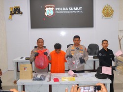 Polisi Ungkap Motif Pria di Madina Bunuh-Kubur Jasad Gadis di Lahan Kebun Sawit