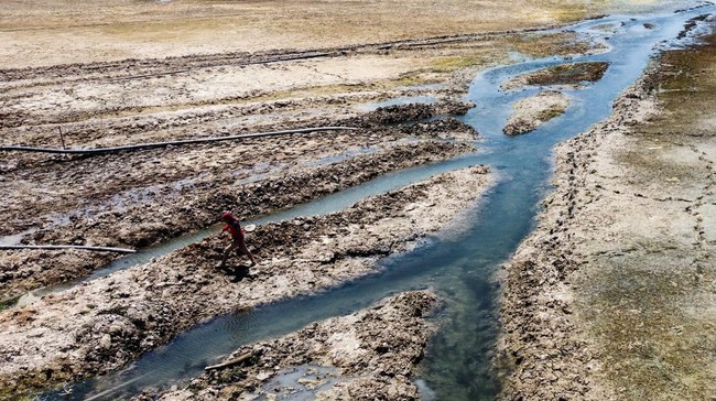 Fenomena Munculnya Emas di Sungai Eufrat, Benarkah? Fenomena munculnya emas di Sungai Eufrat jadi perbincangan usai warga di Suriah ramai-ramai menggali sungai yang kian mengering.